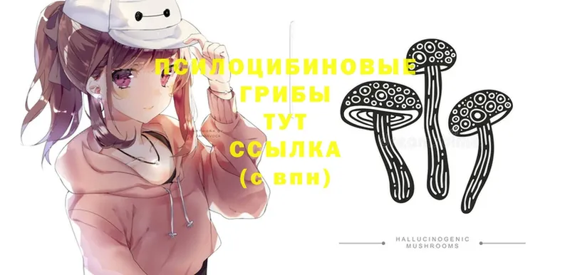 мега рабочий сайт  Болгар  Галлюциногенные грибы Psilocybine cubensis  цена  